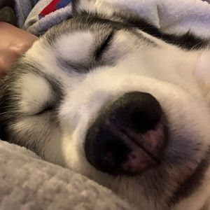 Meet your Posher, Joni